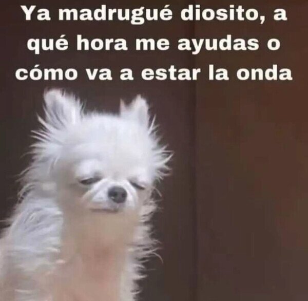 Otros - ¿Cuando llega la ayuda?