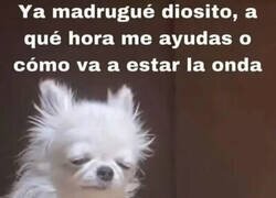 Enlace a ¿Cuando llega la ayuda?
