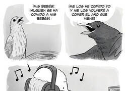 Enlace a Qué sonidos más relajantes...