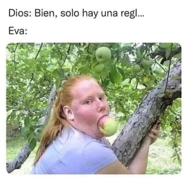 Meme_otros - No le dejó ni terminar