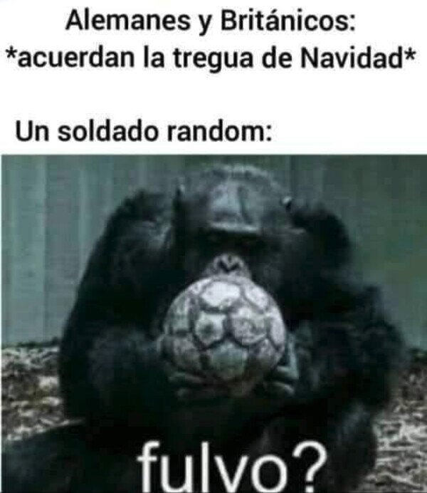 Meme_otros - Salió fulvito