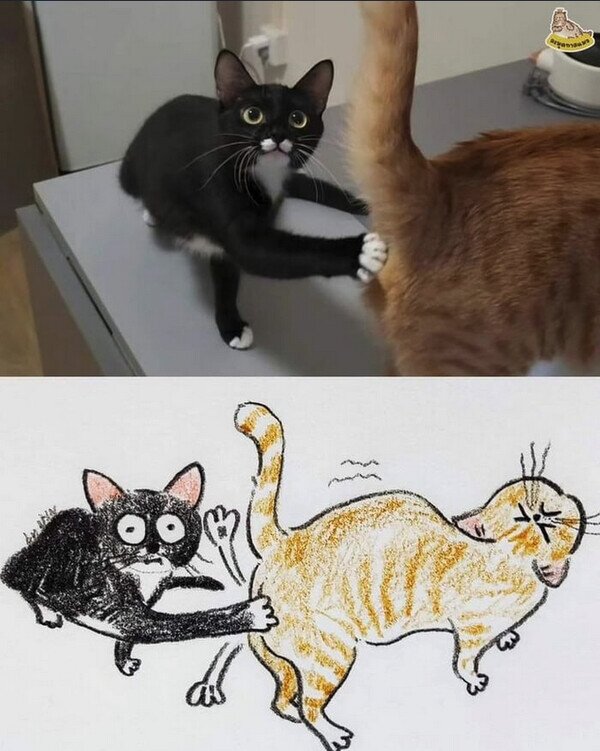 Meme_otros - No más pedos, por favor