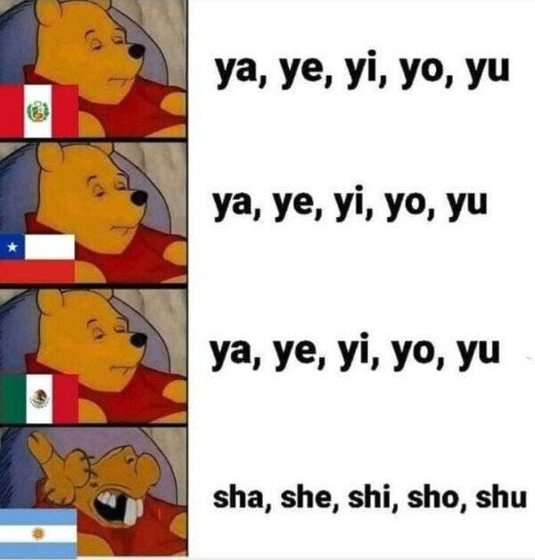 Meme_otros - ¿Por qué los argentinos hablan así?