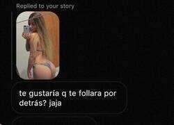 Enlace a Responde cachorra