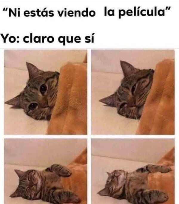 Otros - Mis párpados no me dejan