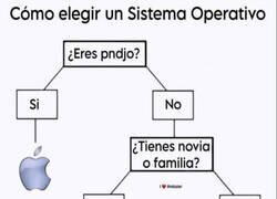 Enlace a Elige tu sistema operativo