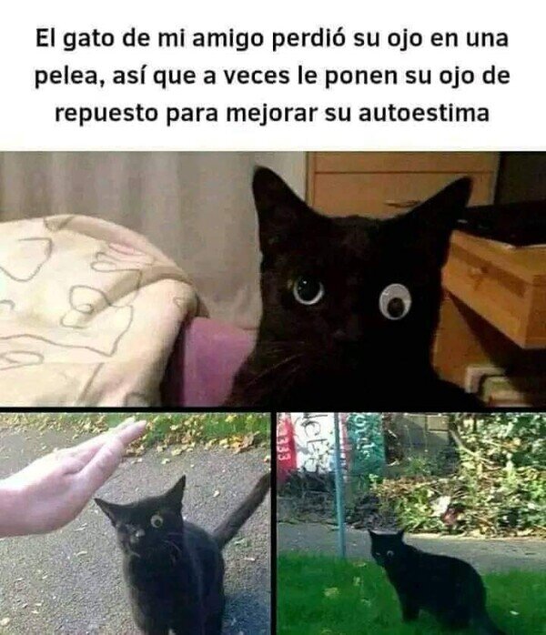 Meme_otros - Ahora da risa y no pena