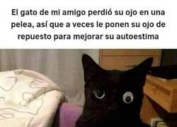 Enlace a Ahora da risa y no pena