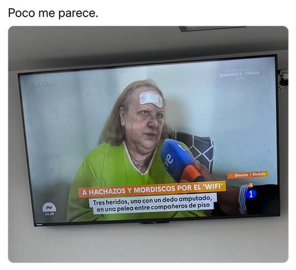 wifi,internet,hachazos,mordiscos