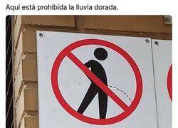 Enlace a Qué falta de derechos...