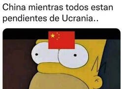 Enlace a Aprovechando el desconcierto