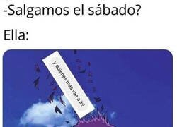 Enlace a No quería una cita