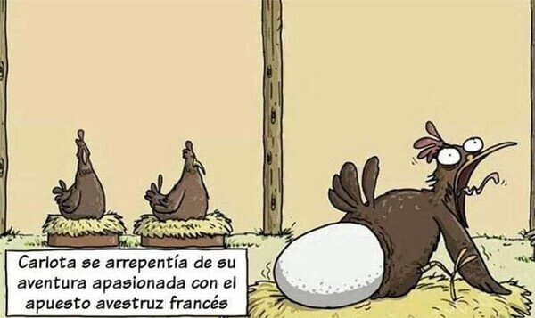 Meme_otros - La aventura salió cara