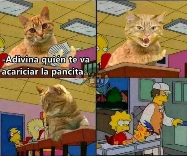 Otros - No son nada cariñosos
