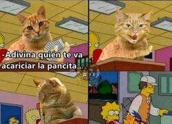 Enlace a No son nada cariñosos