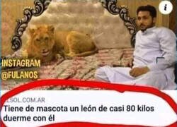 Enlace a Eso no es nada