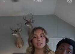 Enlace a El siguiente en esa pared