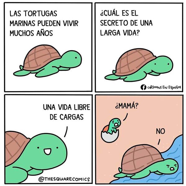 Otros - El secreto de la longevidad de las tortugas
