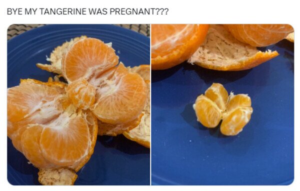 Meme_otros - Mi mandarina estaba embarazada