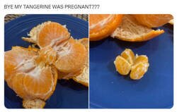 Enlace a Mi mandarina estaba embarazada