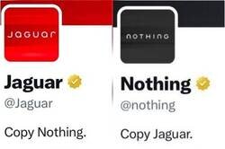 Enlace a Estuvieron atentos los Nothing