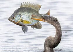 Enlace a No era día para levantarse