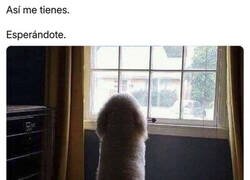 Enlace a La espera es dura