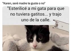 Enlace a El instinto maternal se abre camino