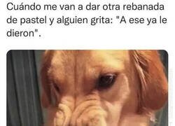 Enlace a ¿Yo qué te he hecho?