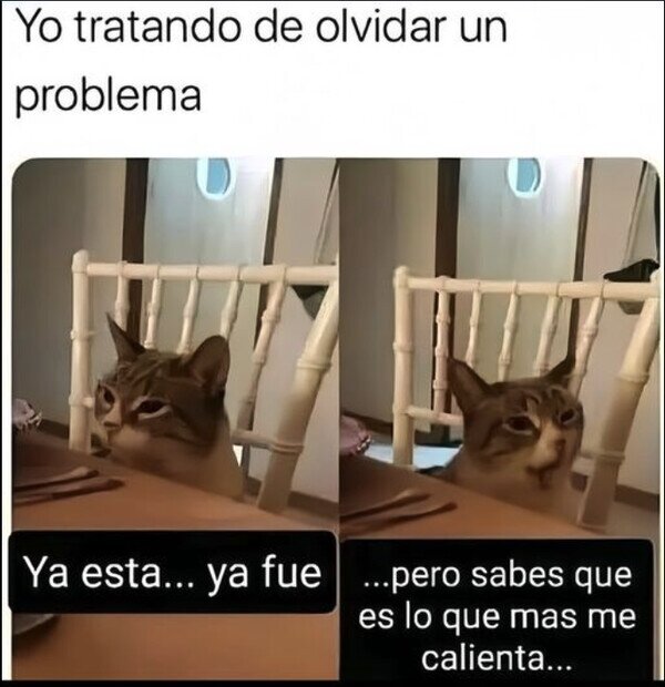 Meme_otros - Tardo en pasar en página