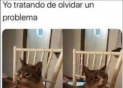 Enlace a Tardo en pasar en página