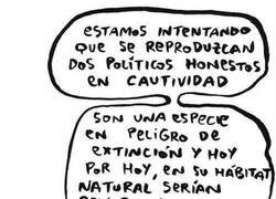 Enlace a Experimento sociológico