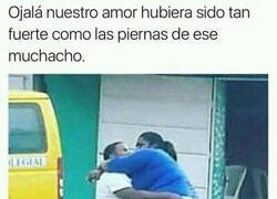 Enlace a Un amor resistente