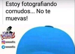 Enlace a ¡Di patata!