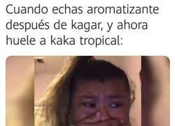 Enlace a No fue una gran idea