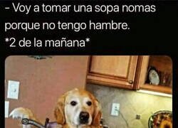 Enlace a El hambre nocturna