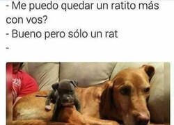 Enlace a Y no volvieron a separarse nunca