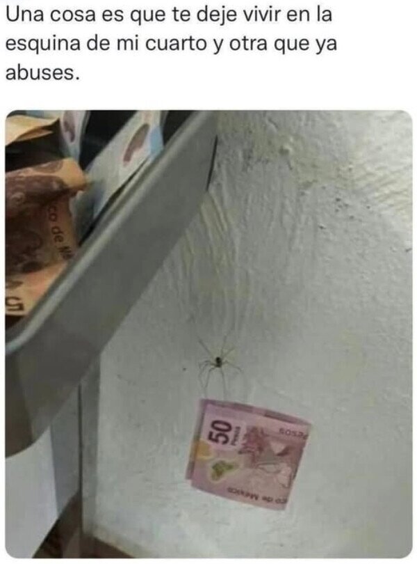 Meme_otros - Yo confiaba en ella