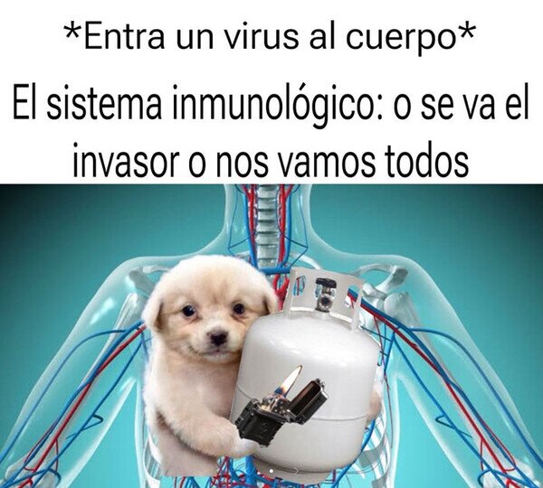 Meme_otros - El sistema hace cosas raras