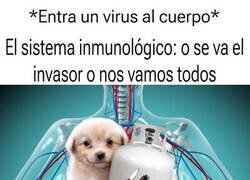 Enlace a El sistema hace cosas raras