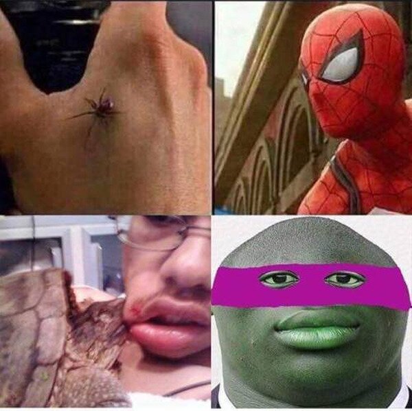 Meme_otros - Me mordió una tortuga