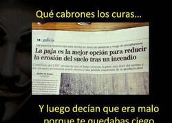 Enlace a Tiene peor fama de la que merece