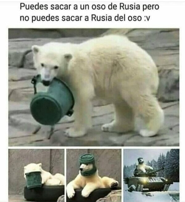 Meme_otros - Oso profundamente ruso