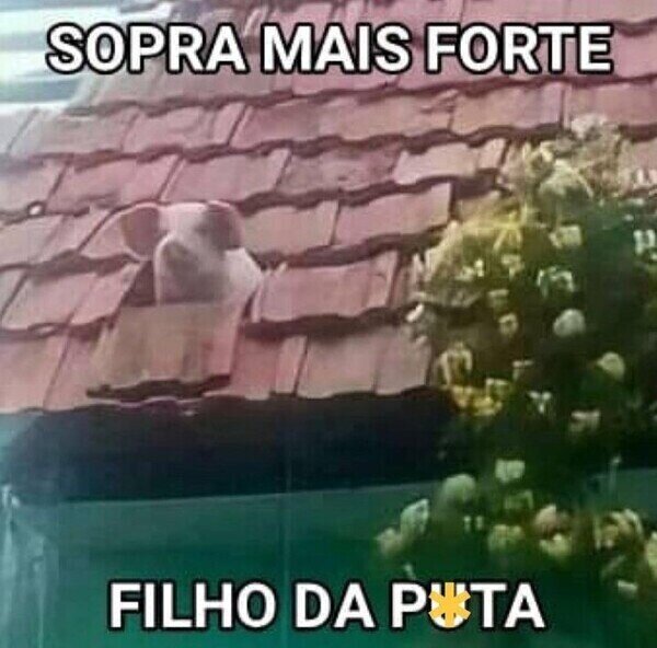 brasil,cerdito,lobo,casa,tejado,soplar