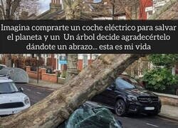 Enlace a Cuando el planeta te lo agradece