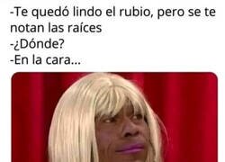 Enlace a Las raíces caucásicas