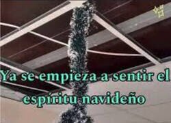 Enlace a Se nota, se siente...