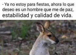 Enlace a Así son