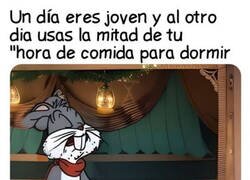 Enlace a Haciendo hueco para la siesta