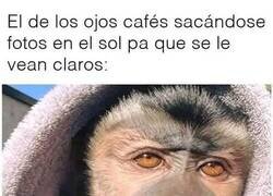 Enlace a Menudo trucazo